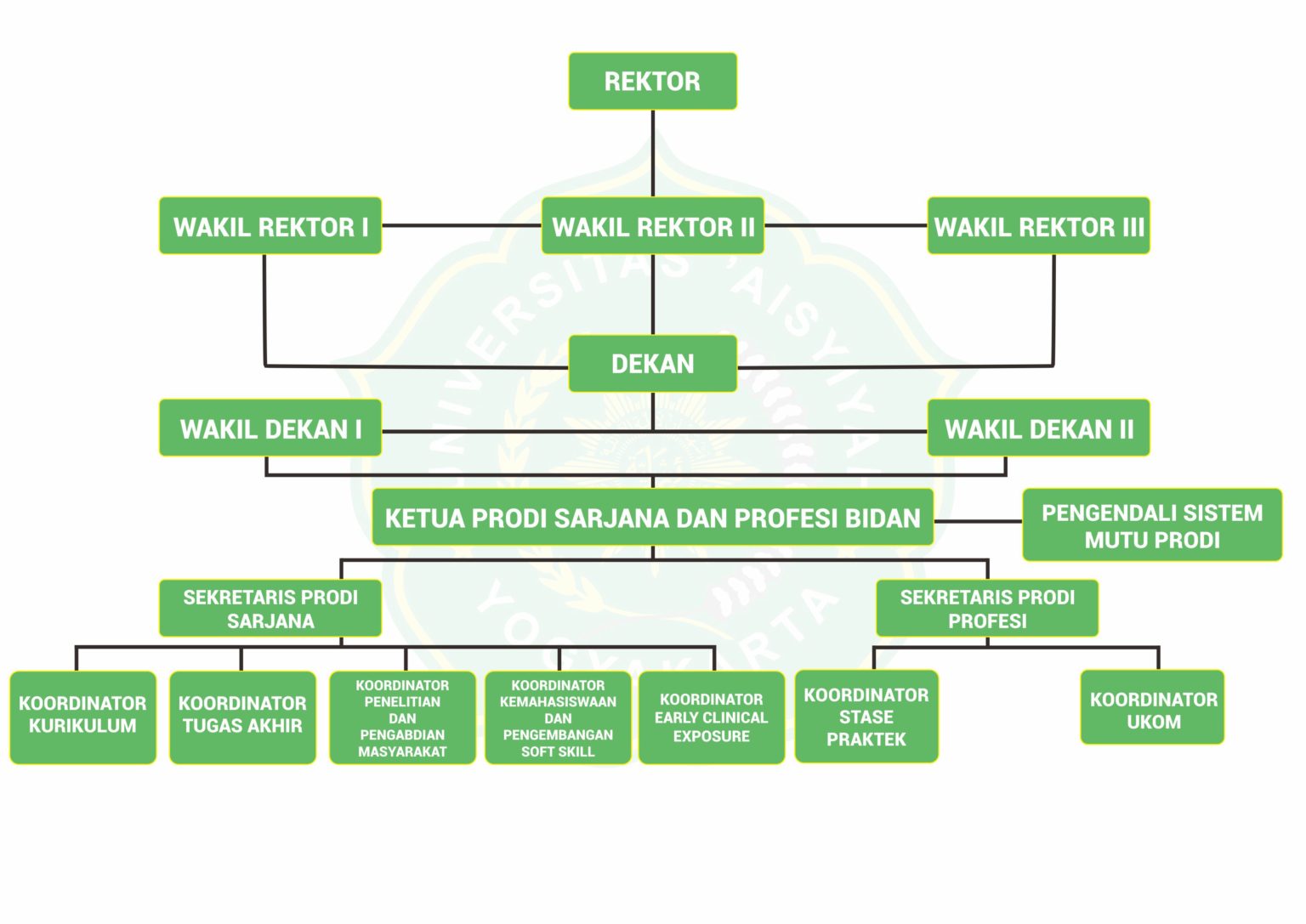 Struktur Organisasi Sarjana Dan Profesi Bidan