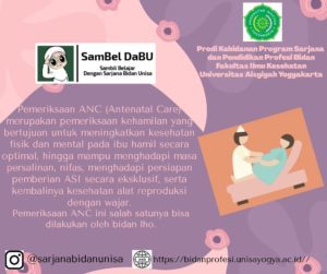 Apa itu Antenatal Care pada Ibu Hamil?