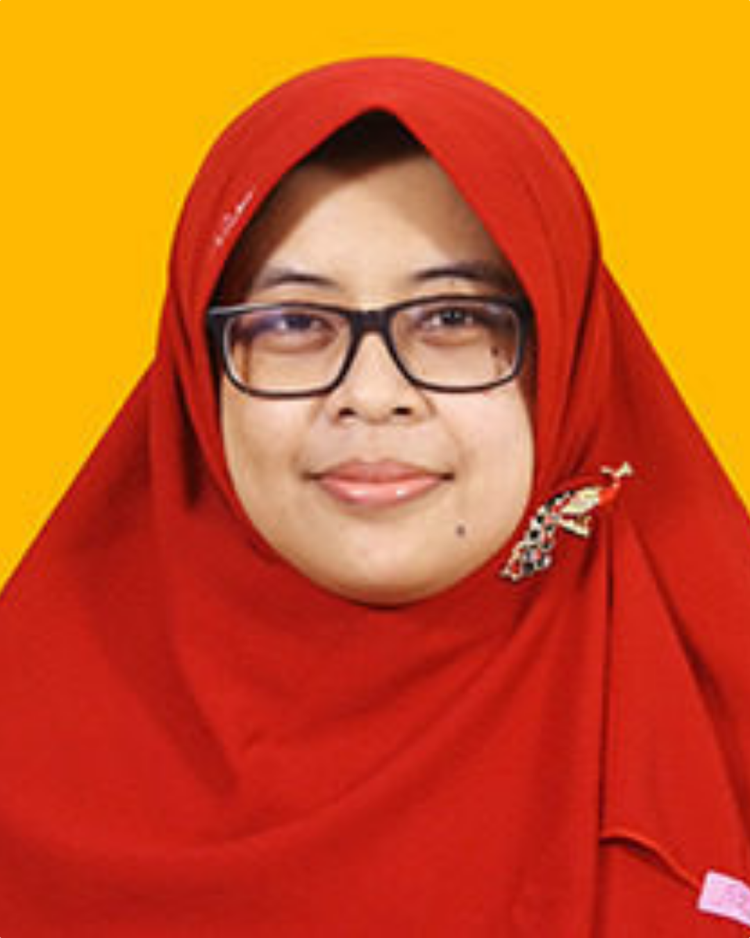 Dr. Dhesi Ari Astuti, S.SiT., M.Kes